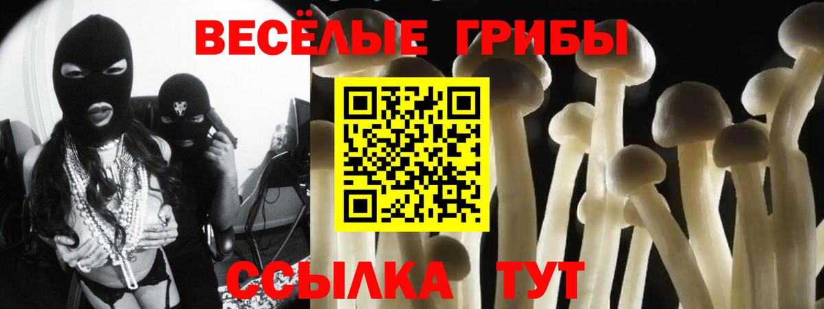 Лабытнанги  Псилоцибиновые грибы Psilocybine cubensis  Вход с VPN 